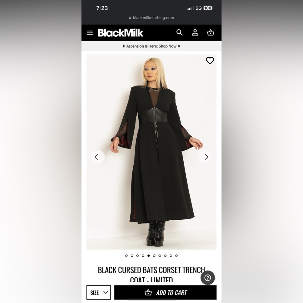 ISO Blackmilk ascension collection cursed bats corset trench coat